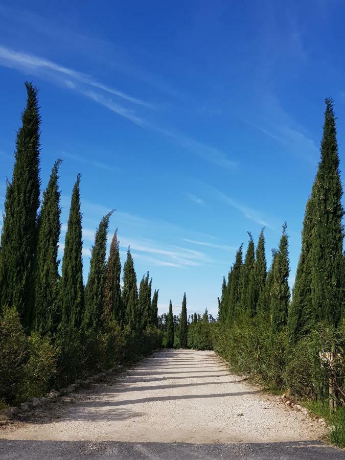 Le Mas De Guiguite Mezoargues Luaran gambar