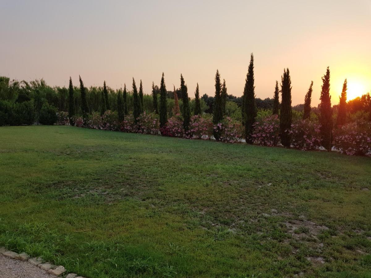 Le Mas De Guiguite Mezoargues Luaran gambar